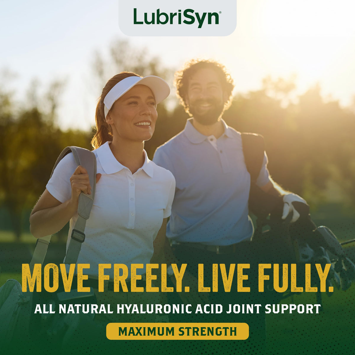 Lubrisyn HA Plus MSM Liquid Joint Supplement - 3 Pack - image 2