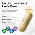 BIO KRAUTER Lion's Mane for Focus Support & Brain Health - 250 Capsules - image 4