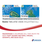 Umeken Lipopo - Lipopolysaccharide