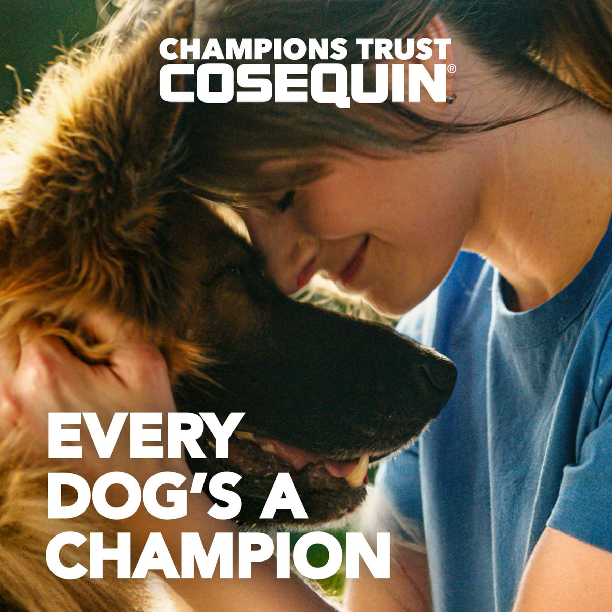 Nutramax Cosequin for Small Dogs Joint Health Soft Chews - 45 Count - image 2