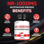 Satoomi NAD Nicotinamide Riboside NR 1000mg - 60 Capsules - image 5