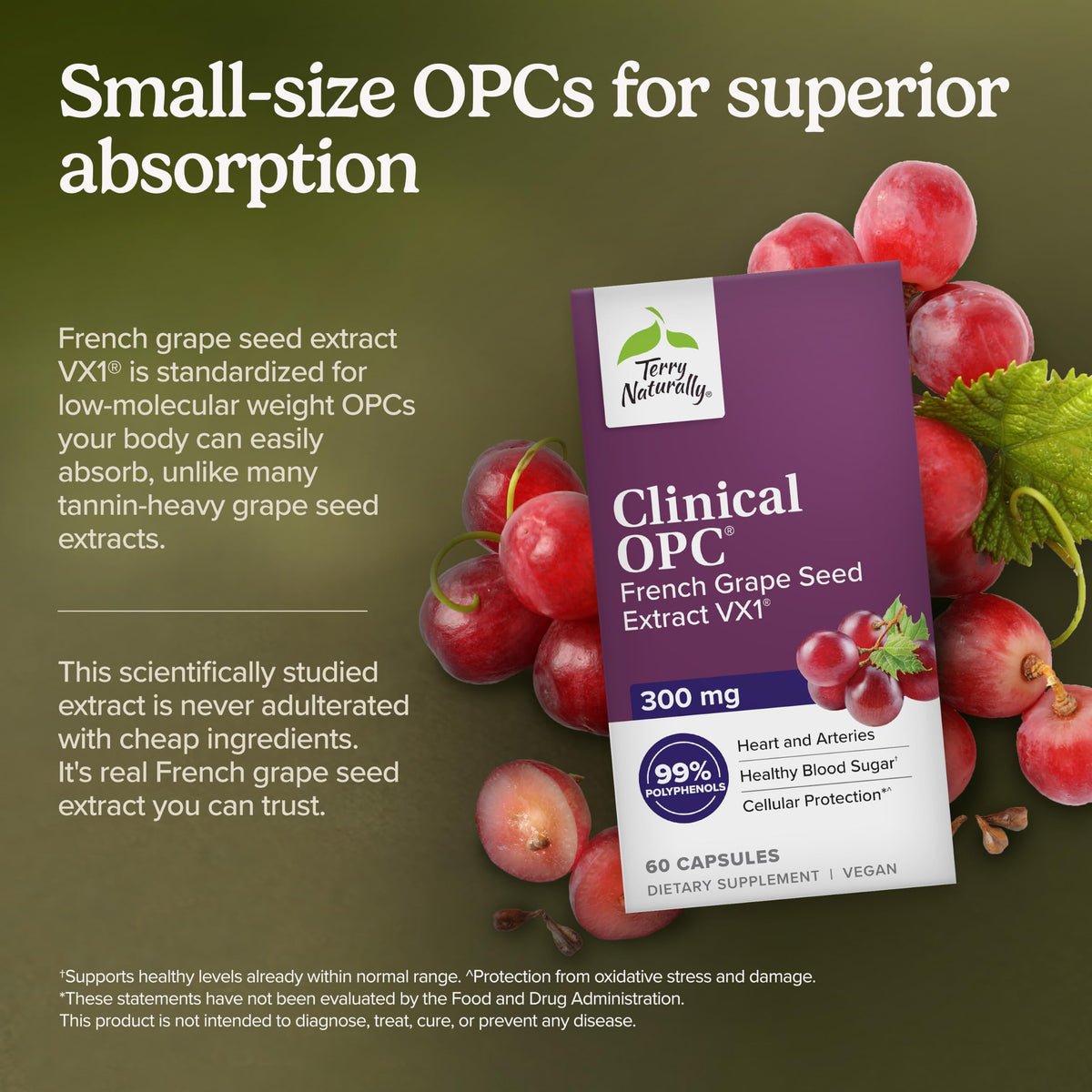 Terry Naturally Clinical OPC Antioxidant French Grape 300 mg - 60 Softgels - image 3