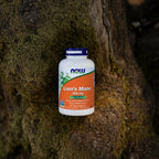 NOW Lion's Mane 500 mg Mushroom Supplement - 60 Vegetarian Capsules - image 7