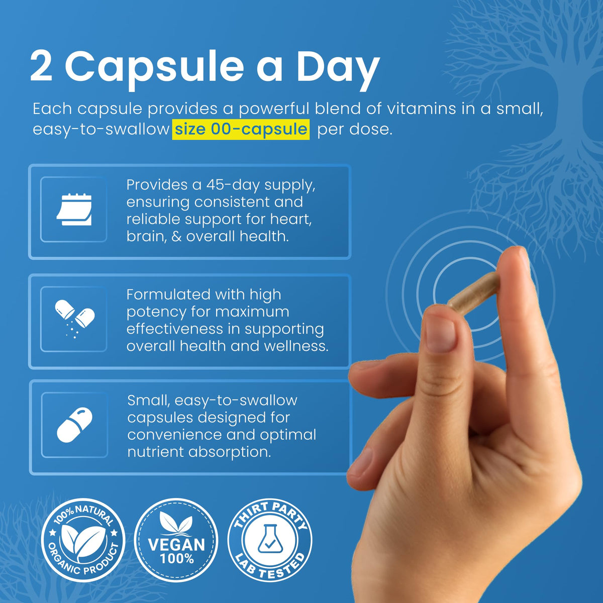 LifeStrength Potassium Magnesium Supplement 1000mg - 90 Capsules - image 9