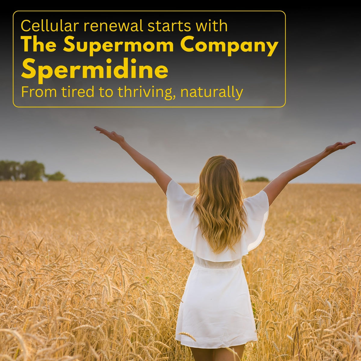 The Supermom Company Spermidine Supplement - 60 Vegetable Capsules - image 6