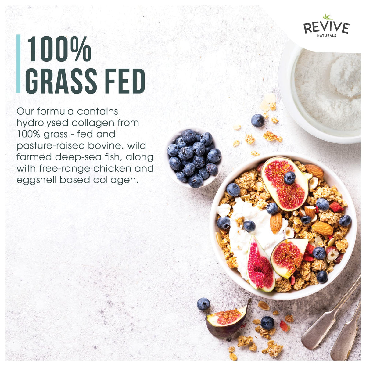 Revive Naturals Multi Collagen Hydrolyzed Protein Powder (16oz)