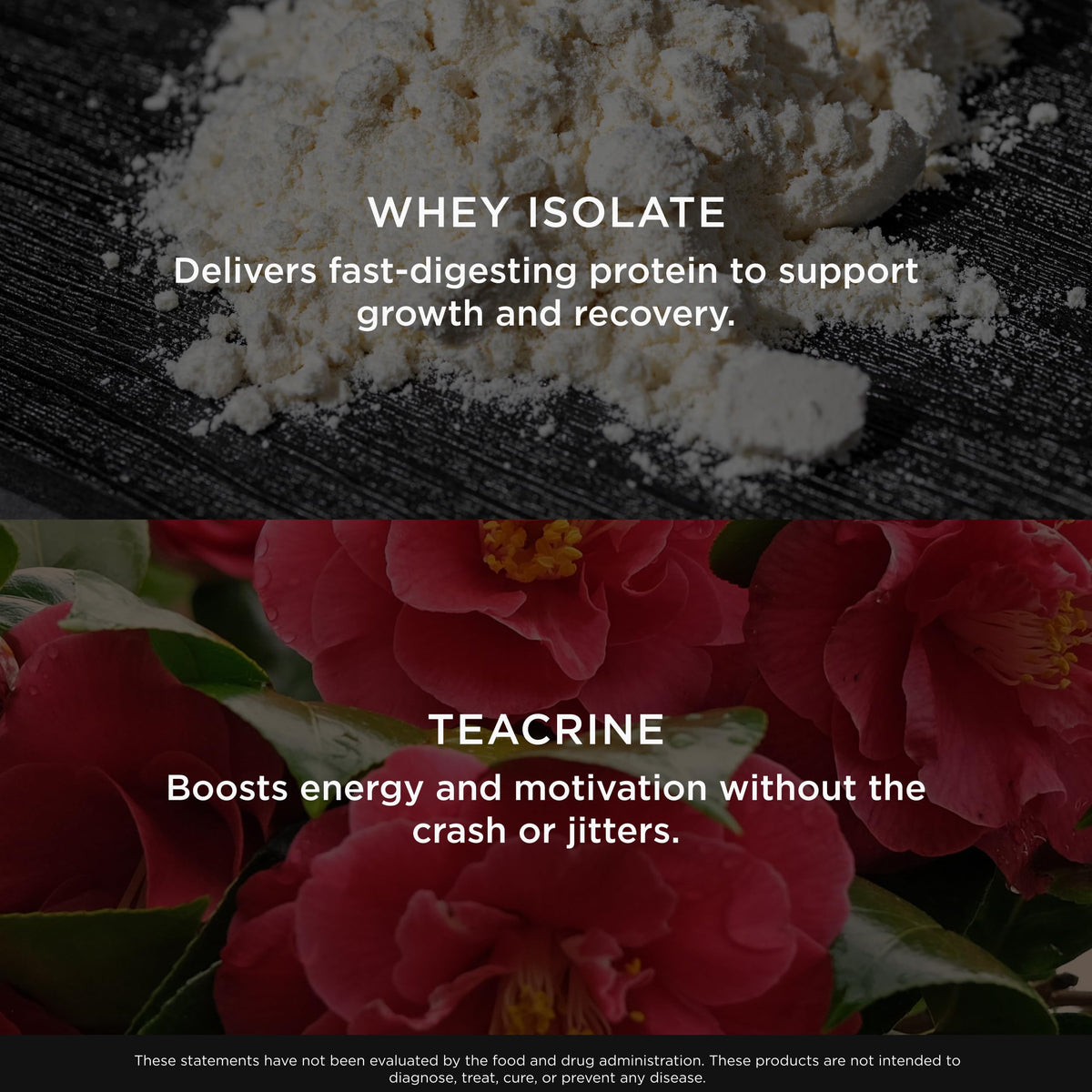 The Genius Brand Genius Protein Powder