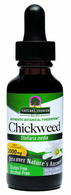 Nature's Answer Alcohol-Free Chickweed Liquid Extract - 1 Fl Oz