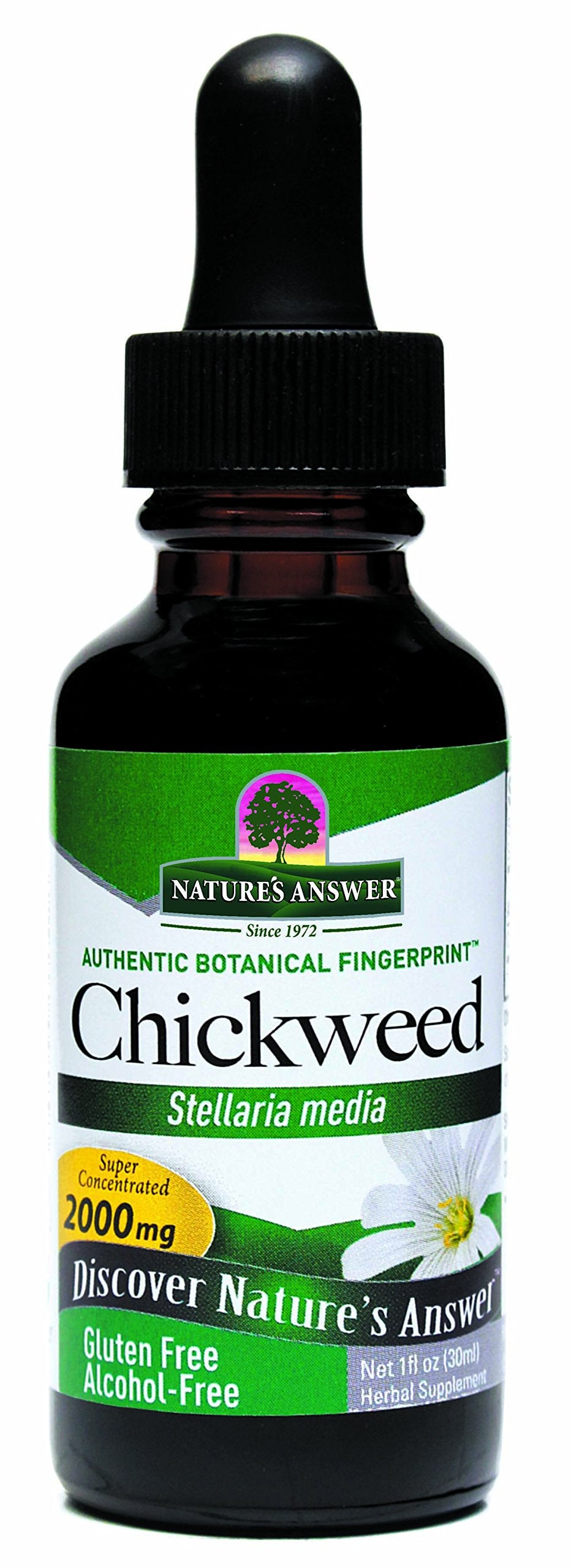 Nature's Answer Alcohol-Free Chickweed Liquid Extract - 1 Fl Oz