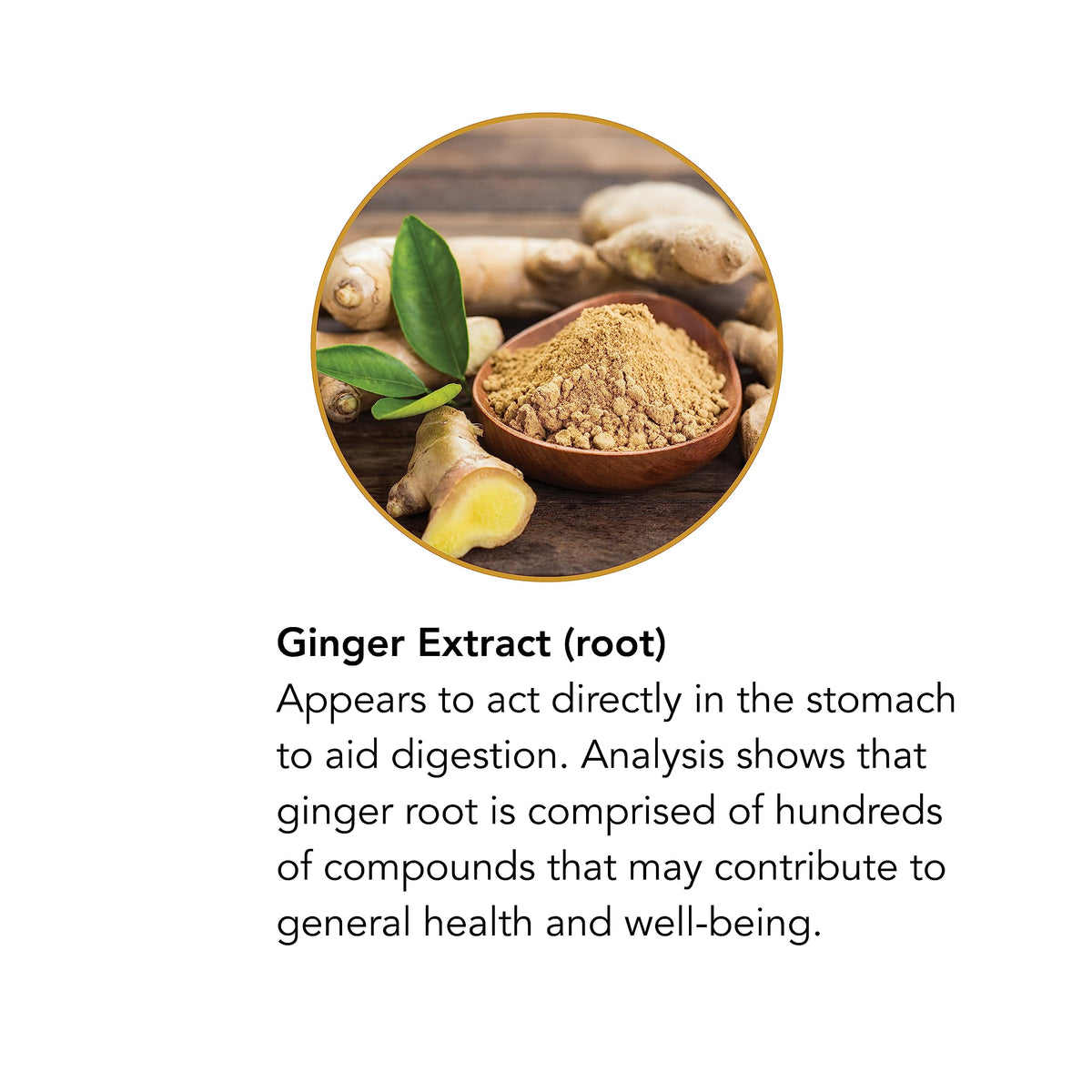 Botanic Choice Ginger Root Liquid Extract Alcohol Free - 1 fl oz - image 3