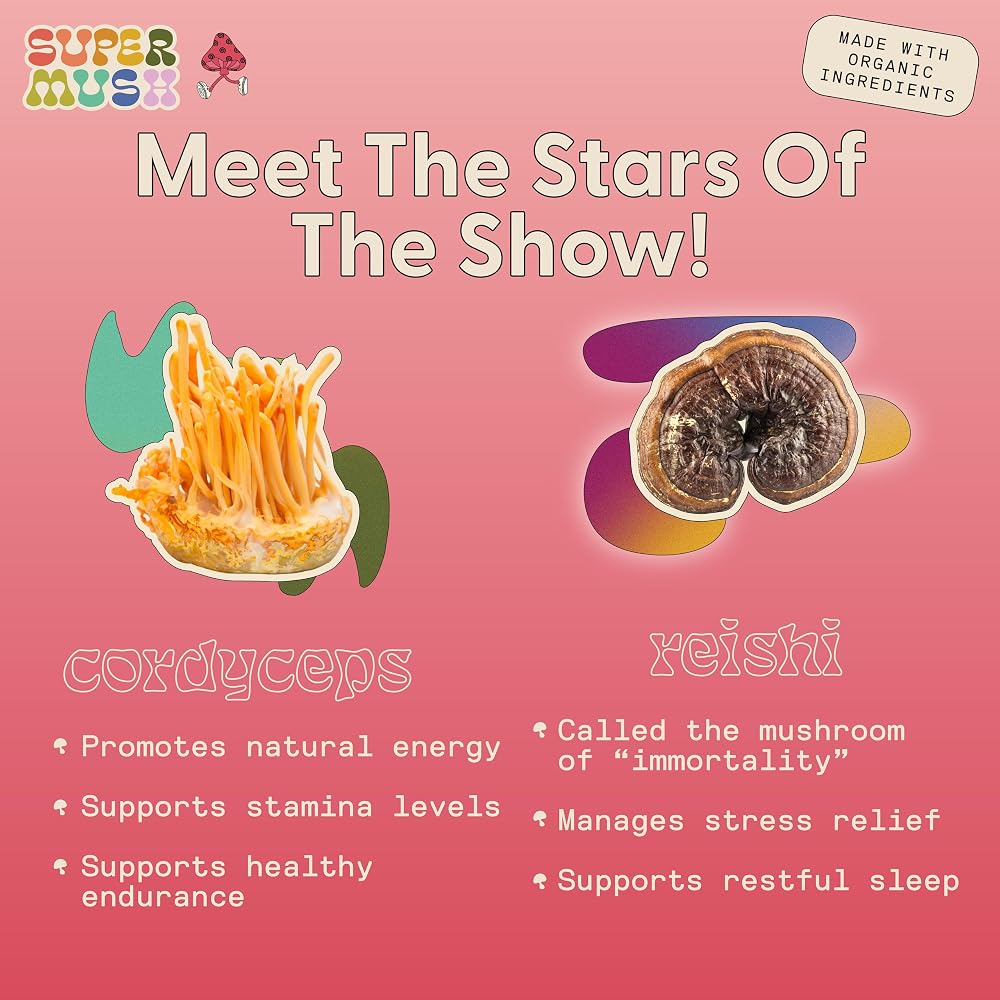 SuperMush Daily Creativity and Connection Mushroom Mints - 24 Count - image 5
