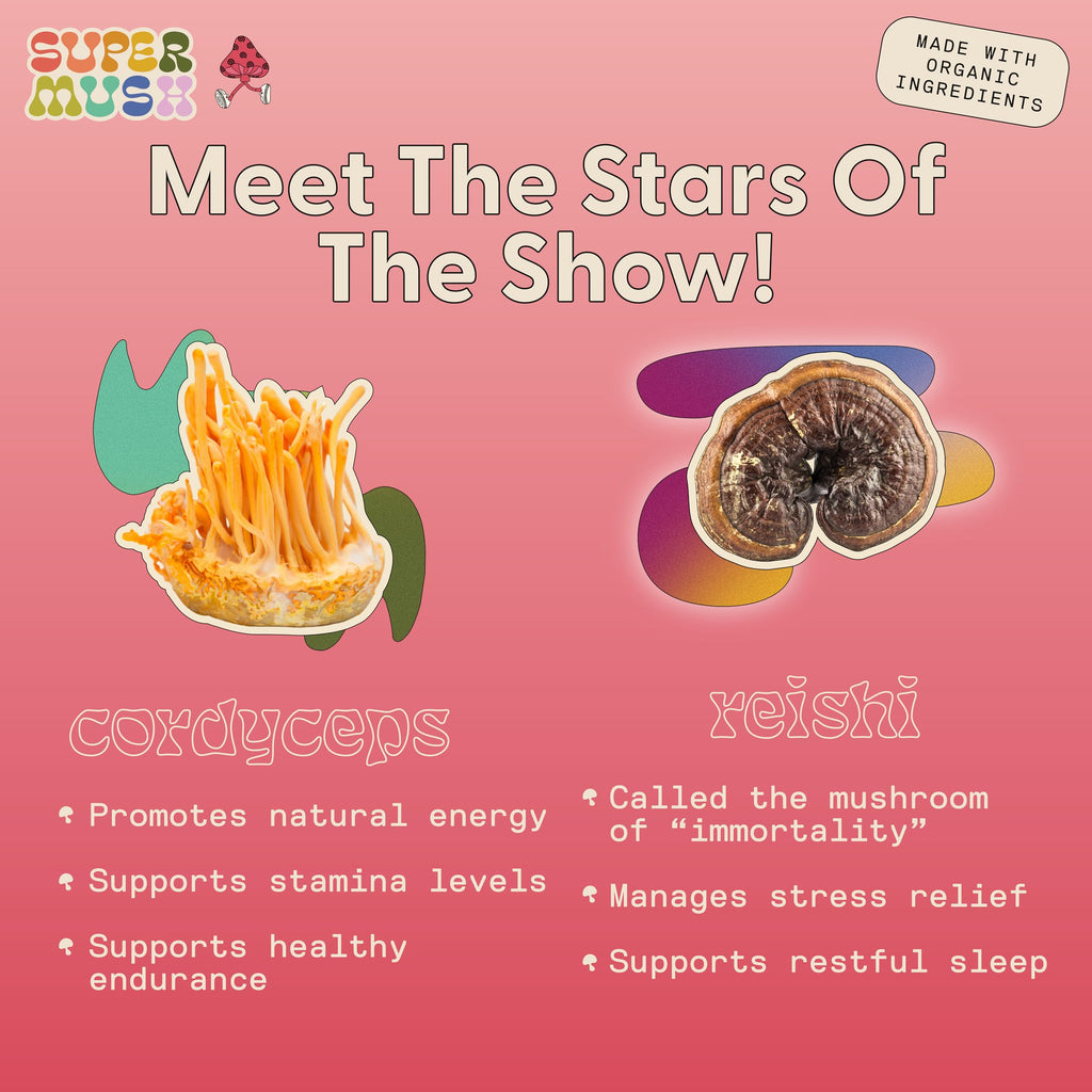 SuperMush Daily Creativity and Connection Mushroom Mints - 24 Count - image 5