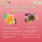 SuperMush Daily Creativity and Connection Mushroom Mints - 24 Count - image 5