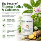 Dr Clark Store Mimosa Pudica & Goldenseal