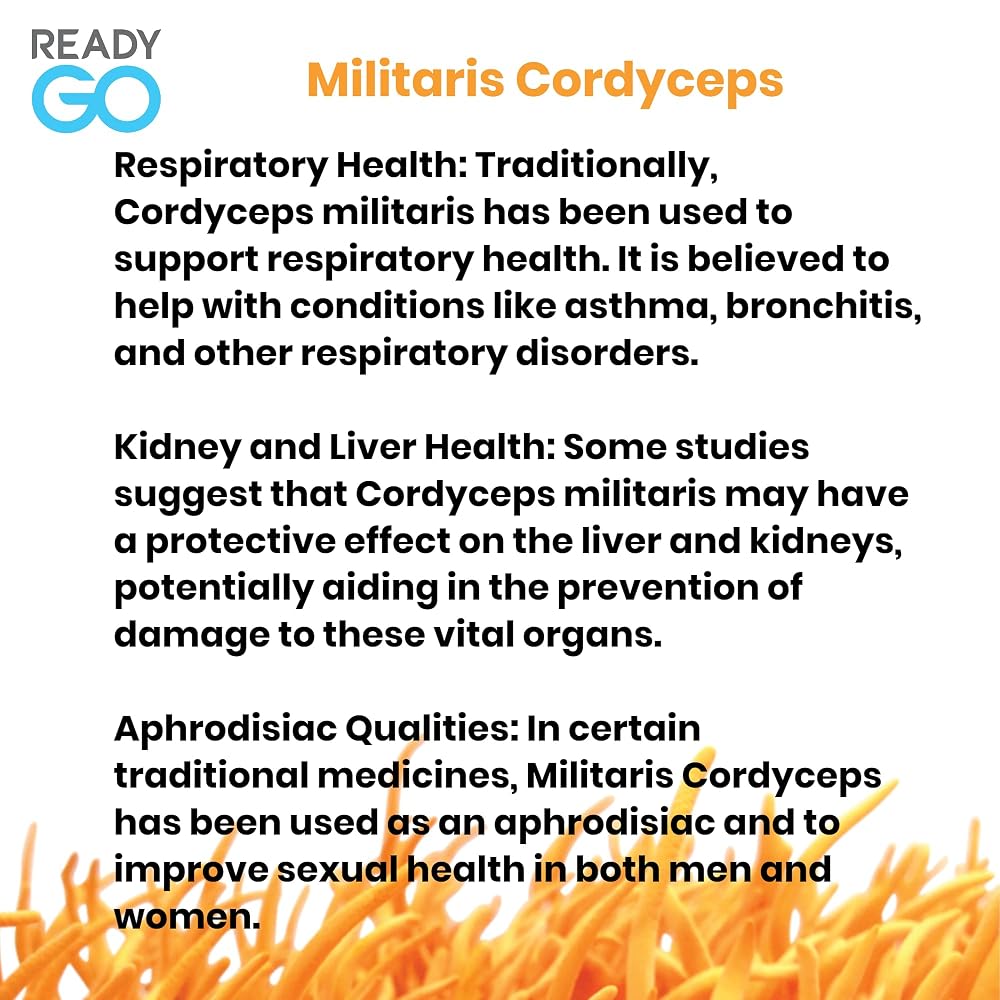 READYGO Cordyceps Militaris Mushroom Capsules with Ginseng - 30 Capsules - image 7