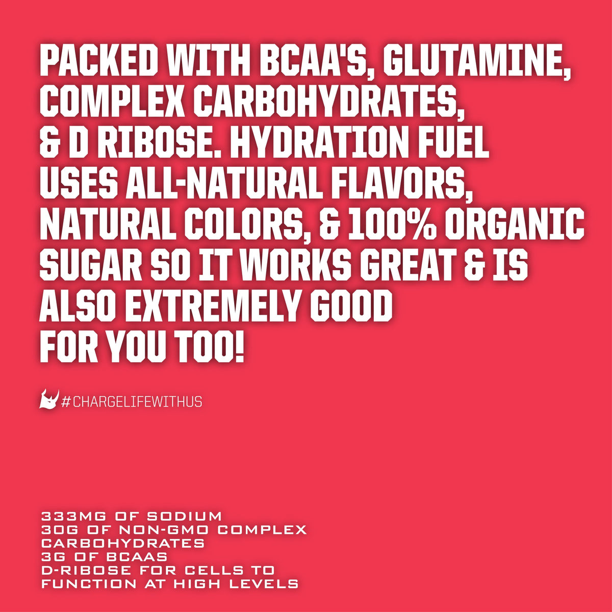 Ryno Power Hydration Fuel Electrolyte Drink Mix - 12 Servings - image 5