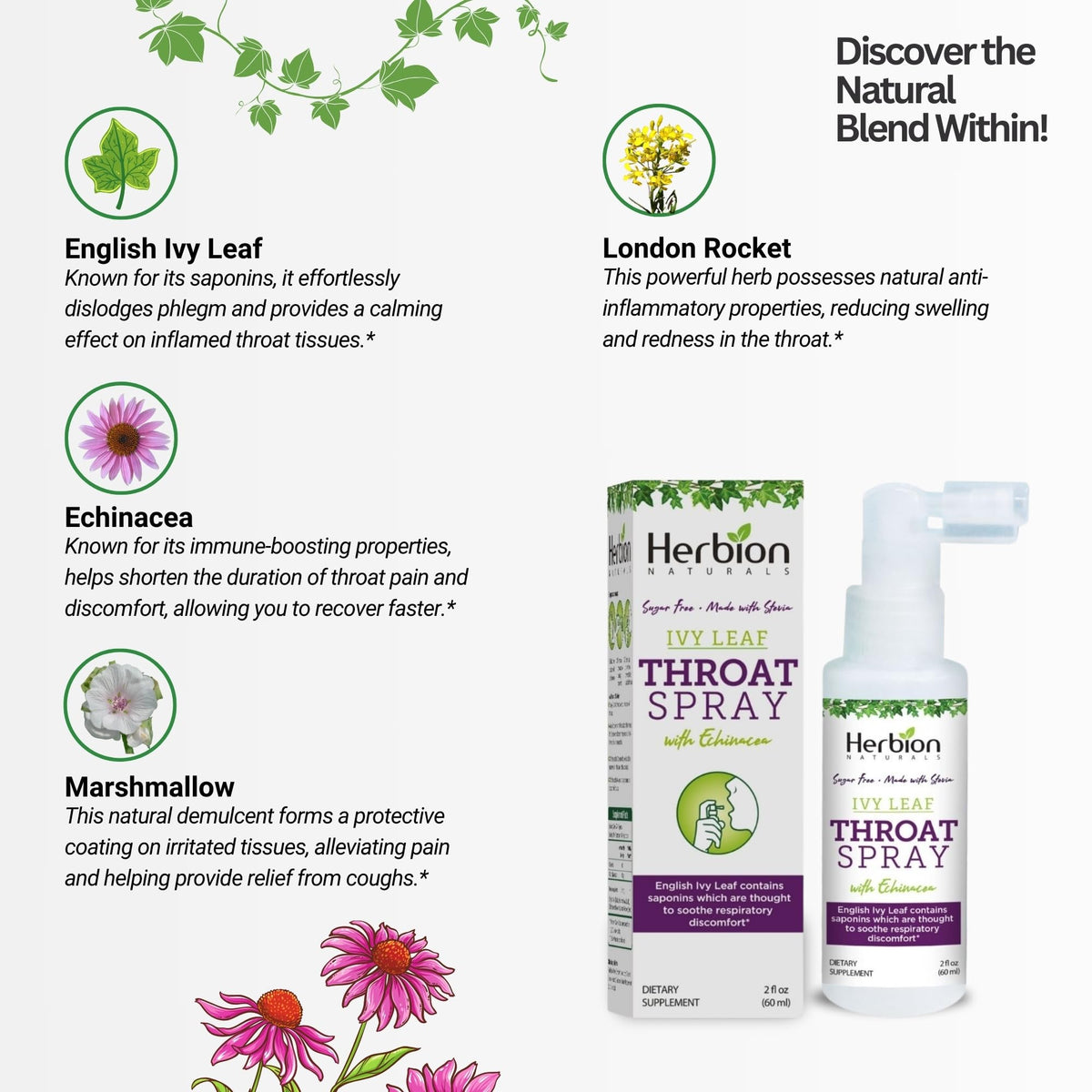 HERBION Naturals Throat Spray with English Ivy & Echinacea - image 4