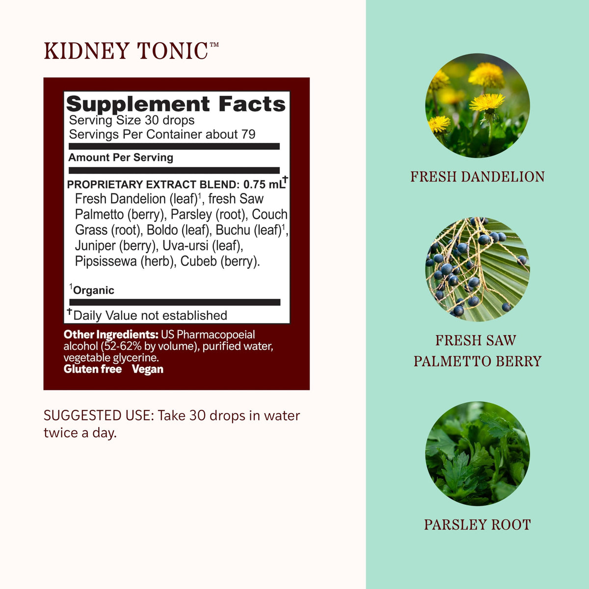 Herbs Etc. Kidney Tonic Herbal Supplement - 2 fl oz - image 4