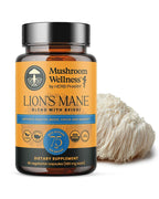 Herb Pharm Lion's Mane Blend with Reishi Capsules - 90 Vegan Capsules