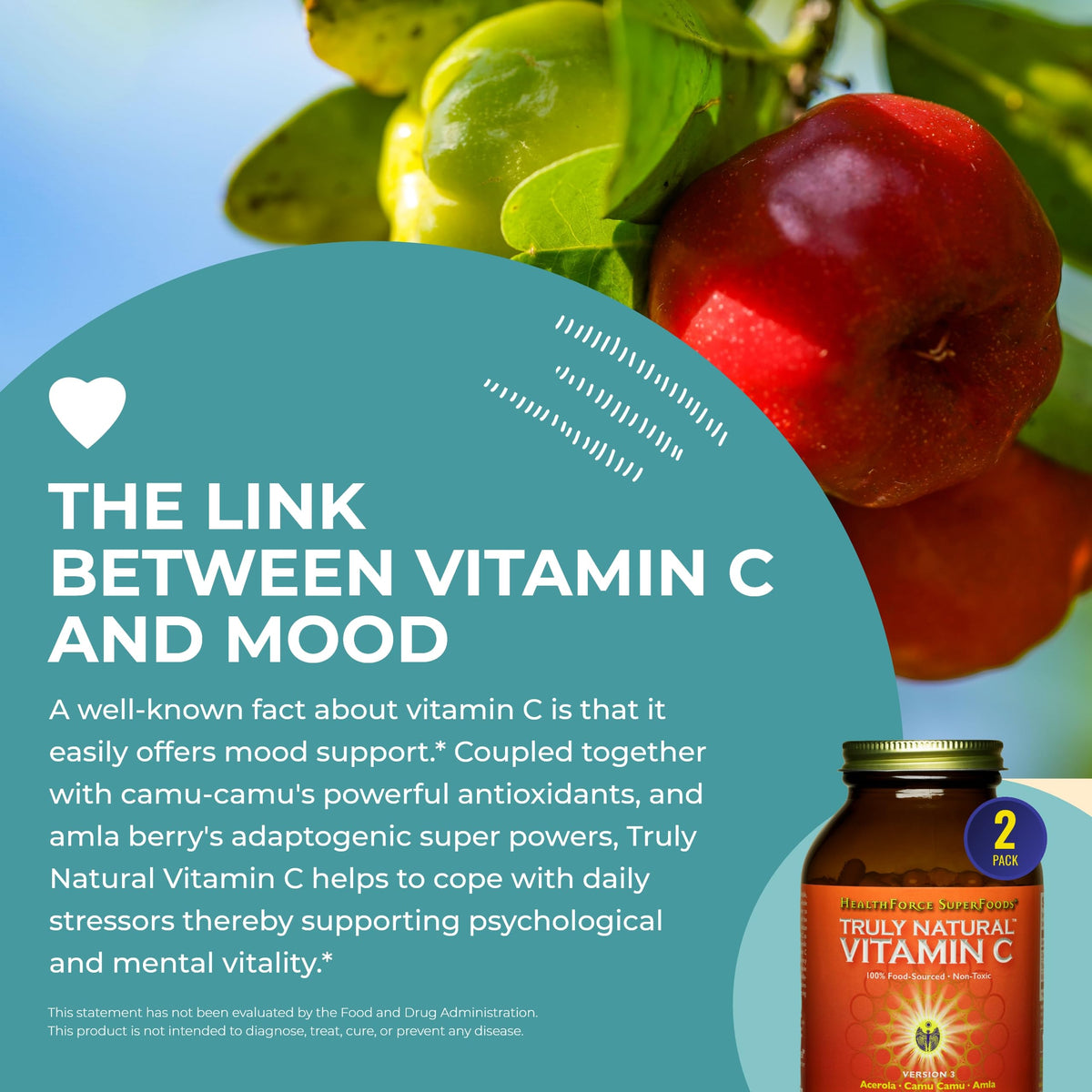 HEALTHFORCE SUPERFOODS Vitamin C Immune Support - 240 Vegan Capsules - image 5
