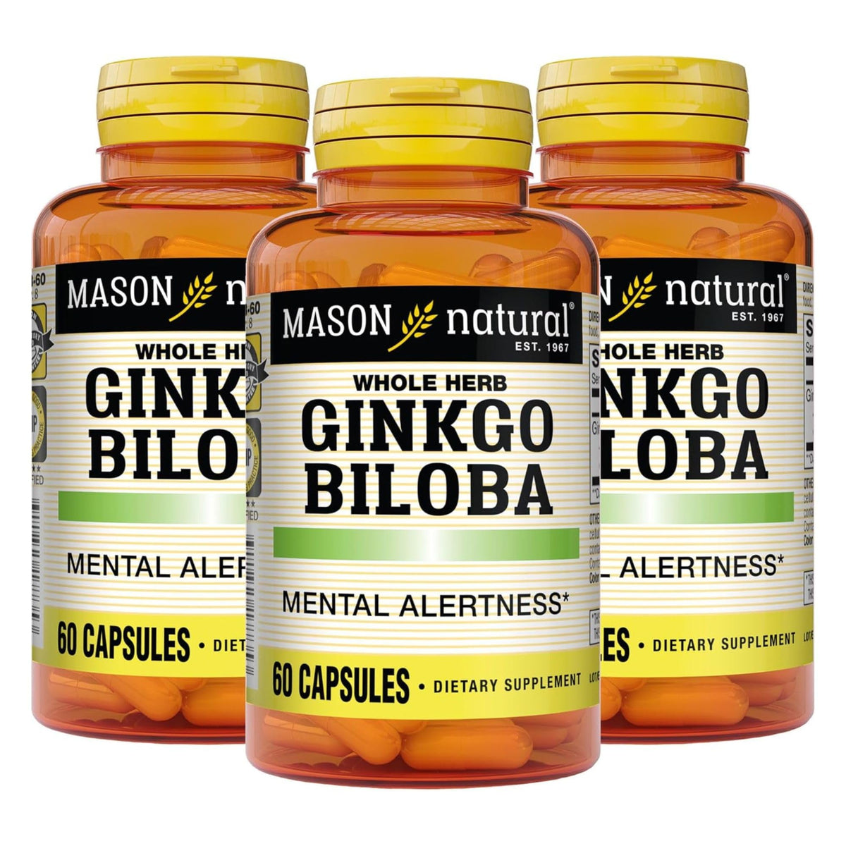MASON NATURAL Ginkgo Biloba Brain Support - 180 Capsules