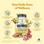 American Standard Supplements Organic Sea Moss Bladderwrack Burdock Root - image 5