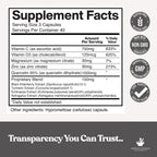 American Standard Supplements Quercetin 1000mg with Zinc & Vitamin C - image 2