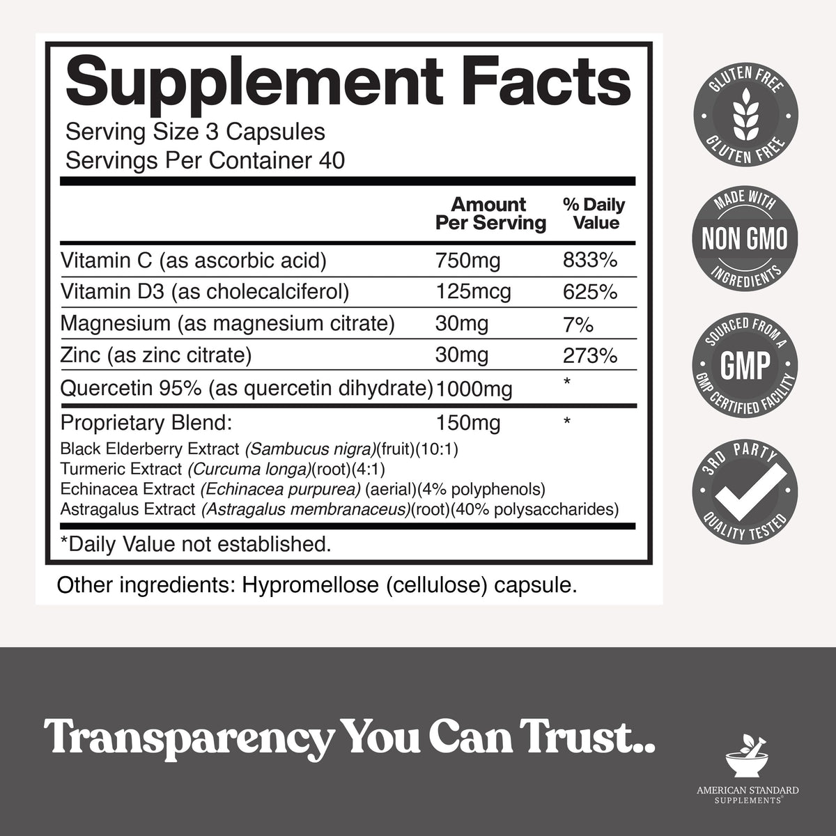 American Standard Supplements Quercetin 1000mg with Zinc & Vitamin C - image 2