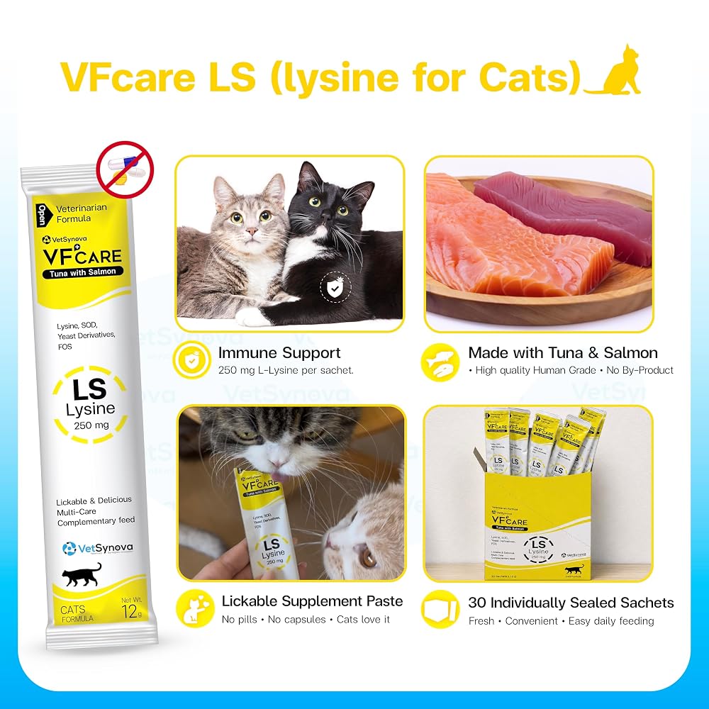 VFCARE L-Lysine for Cats 250mg Immune Support - 30 Sachets - image 7