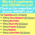 SHIZAM Bee Pollen Royal Jelly Citrus Bergamot Gummies - 60 Count - image 2