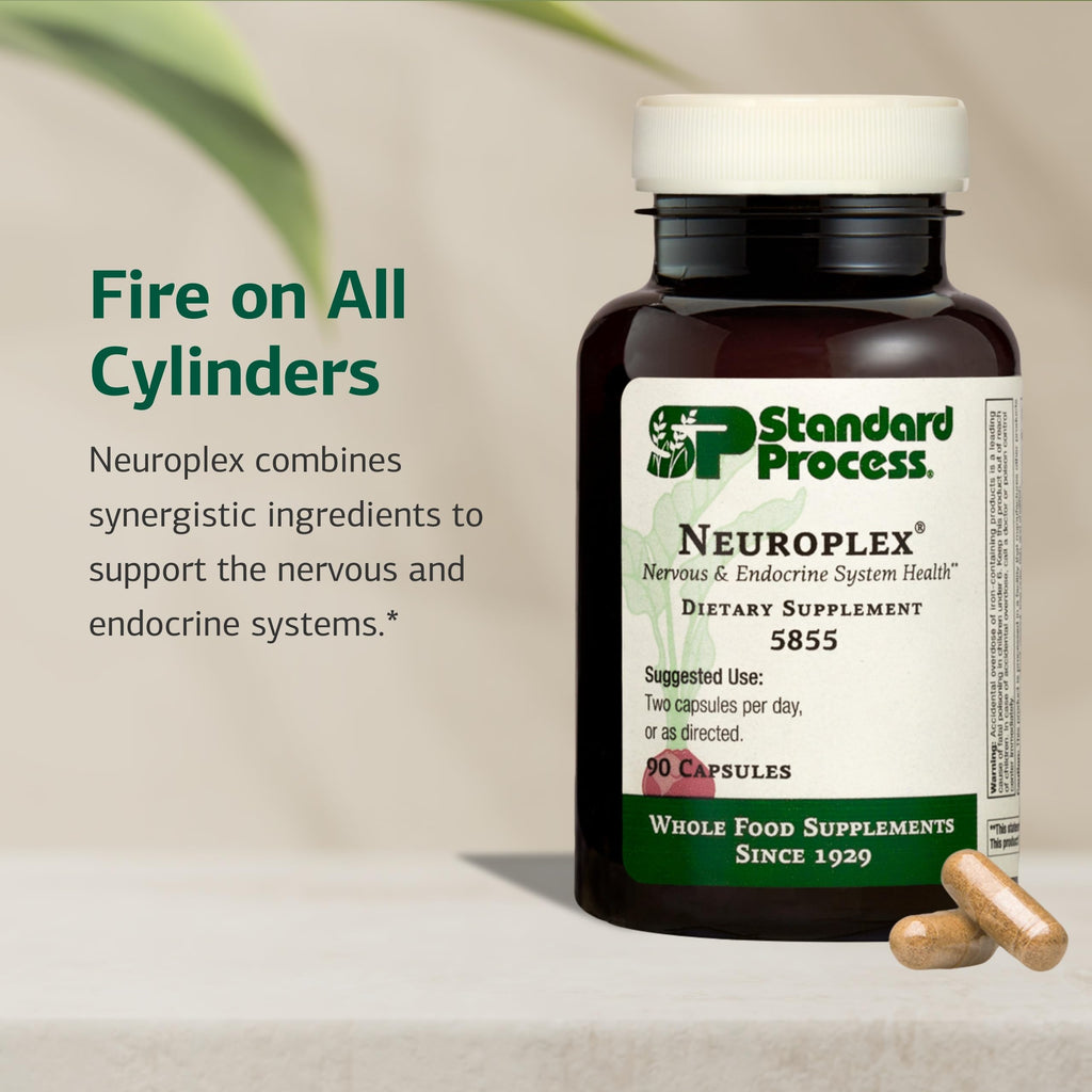 Standard Process Neuroplex Nervous System Support - 90 Capsules - image 3