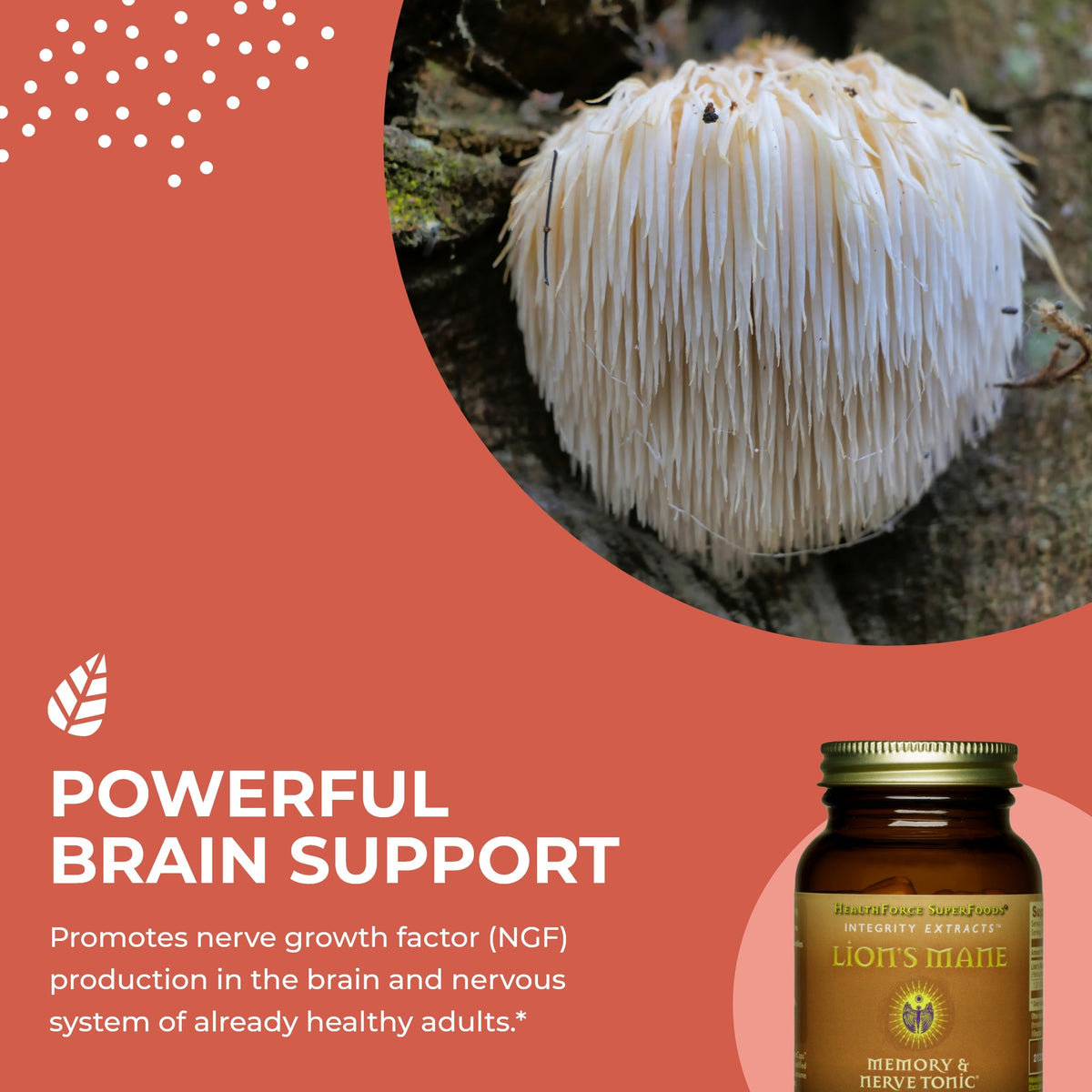 HEALTHFORCE SUPERFOODS Integrity Extracts Lion's Mane - 90 Capsules - image 4