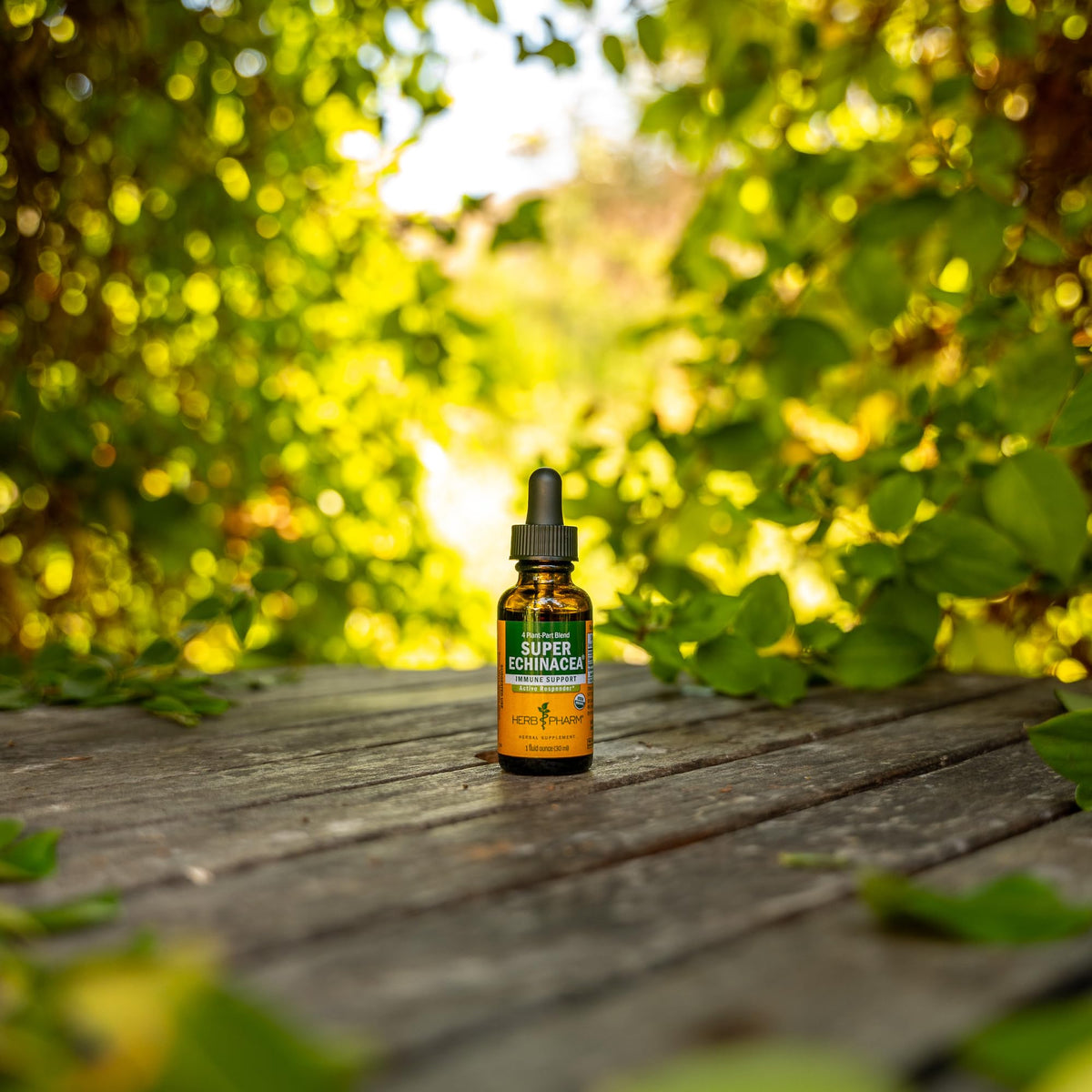 Herb Pharm Super Echinacea Liquid Extract Immune Support - 1 oz - image 11