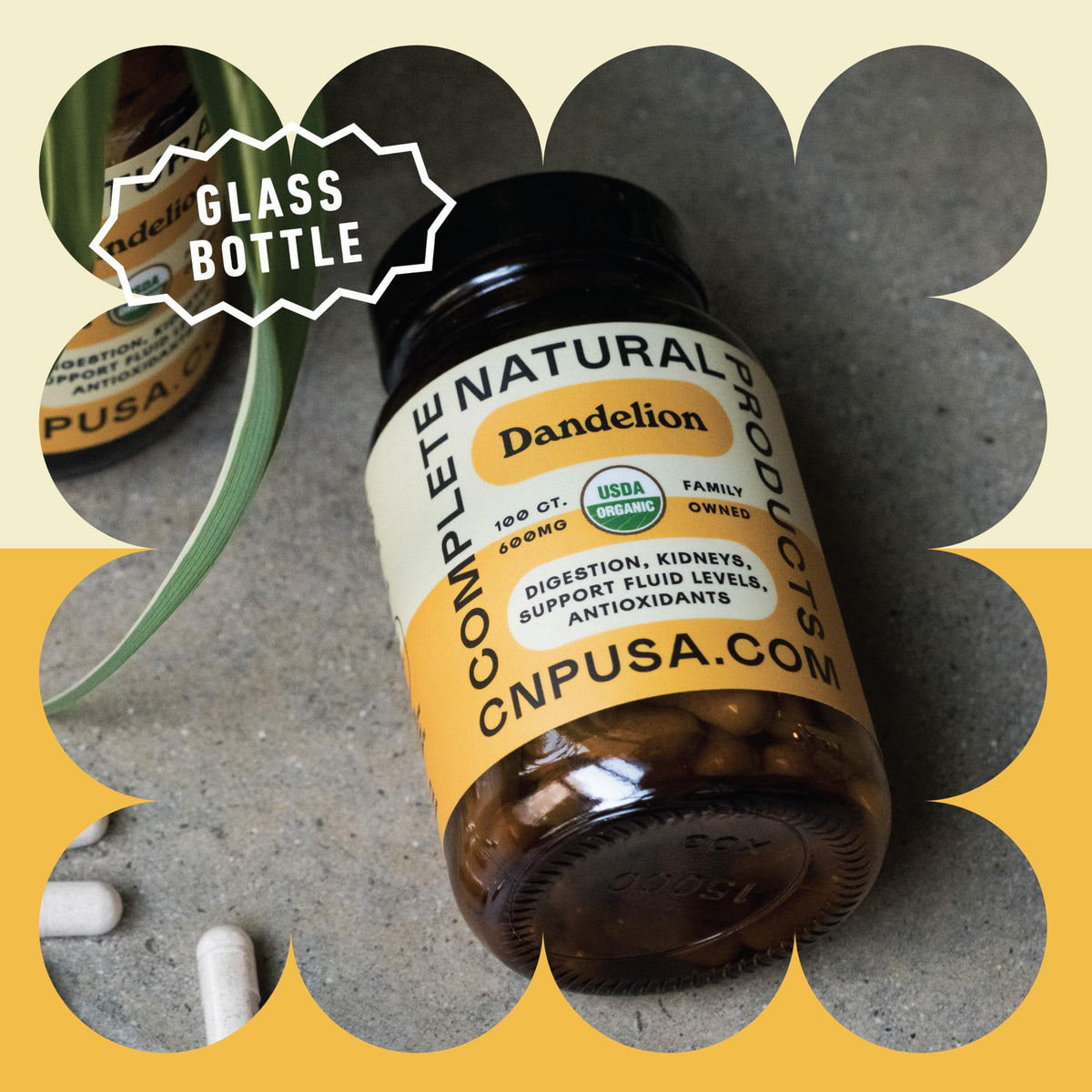 Complete Natural Products Dandelion Root 600mg Capsules - 100 Count - image 5