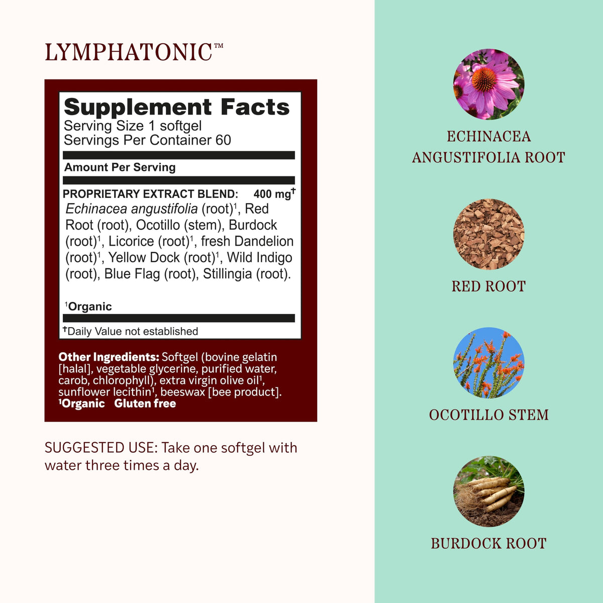 Herbs Etc. Lymphatonic Immune & Lymphatic Support - 60 Softgels - image 4