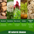 Wellgenix Strip 5 Day Detox Cleanse - 40 Capsules - image 3