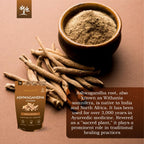 Herb Essential Herbal Supplements for Daily Use