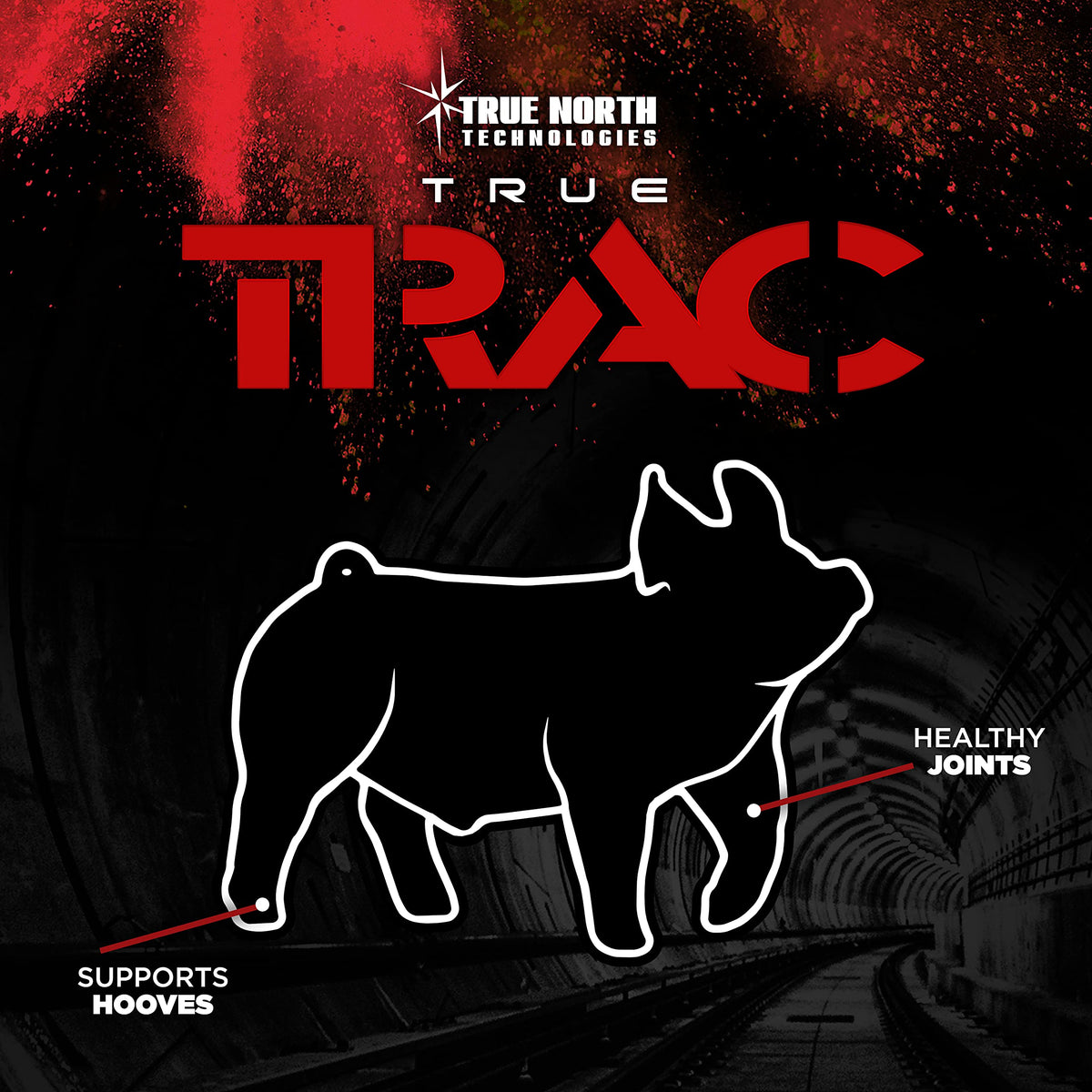 True North Technologies True Trac Joint Support Powder for Show Pigs