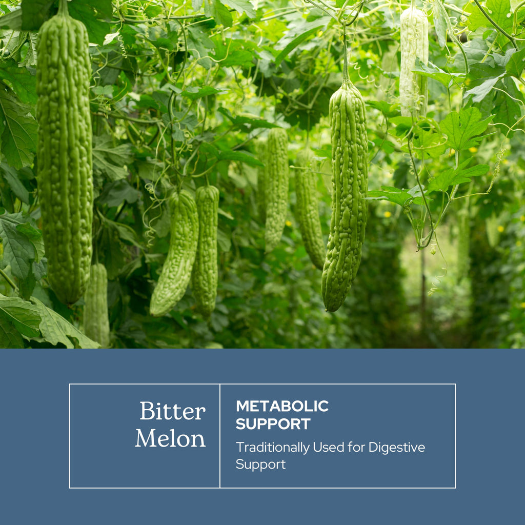 Eclectic Institute Bitter Melon Capsules for Glucose Support - 90 Capsules - image 3