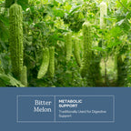 Eclectic Institute Bitter Melon Capsules for Glucose Support - 90 Capsules - image 3