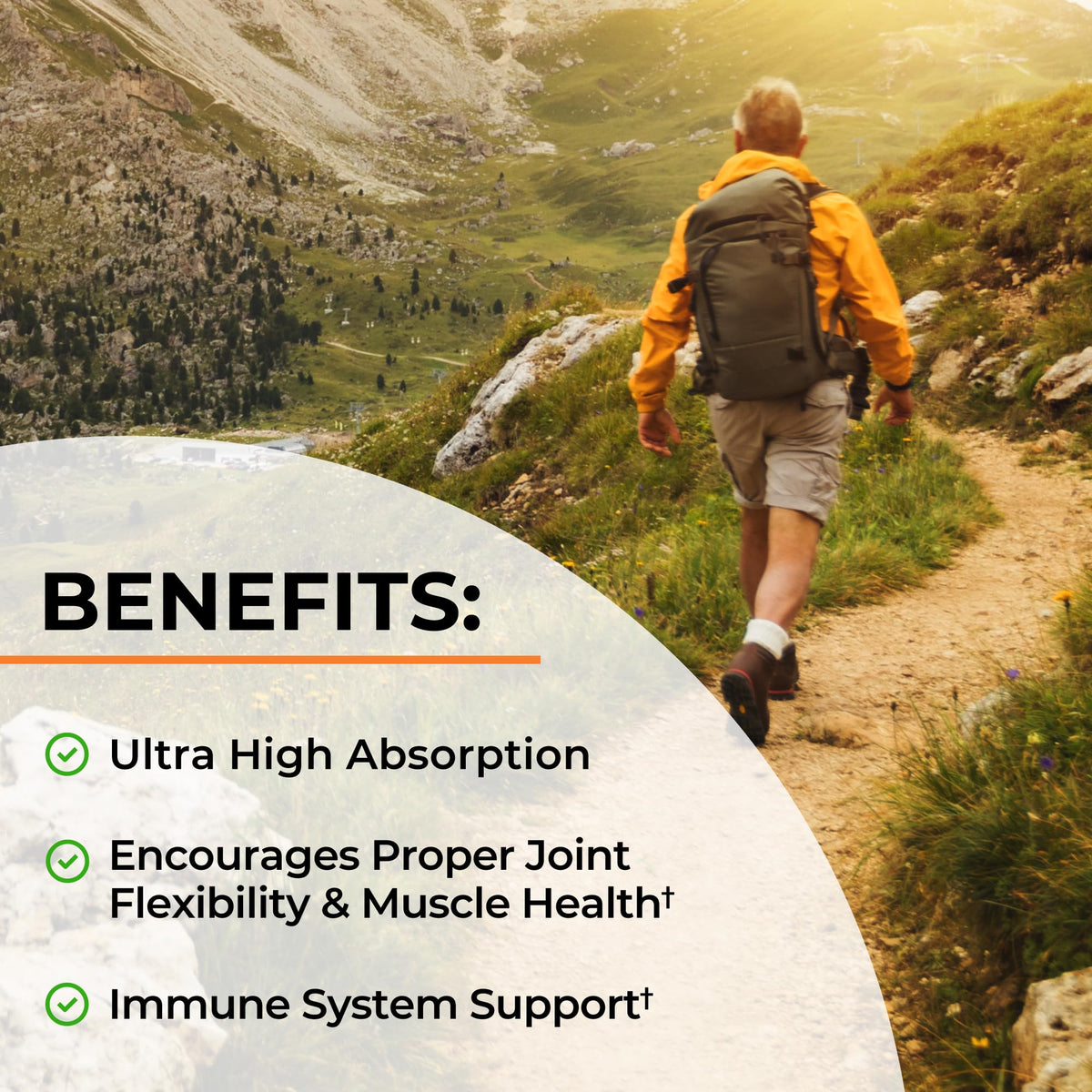 BioSchwartz Turmeric Curcumin with Black Pepper Extract 1500mg - 45 Capsules - image 5
