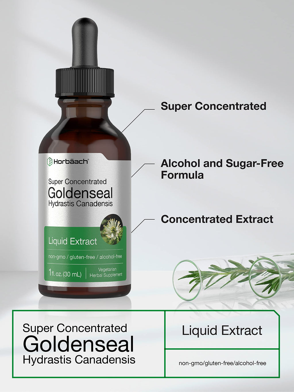 Horbäach Goldenseal Root Tincture Liquid Extract - 1 fl oz - image 3