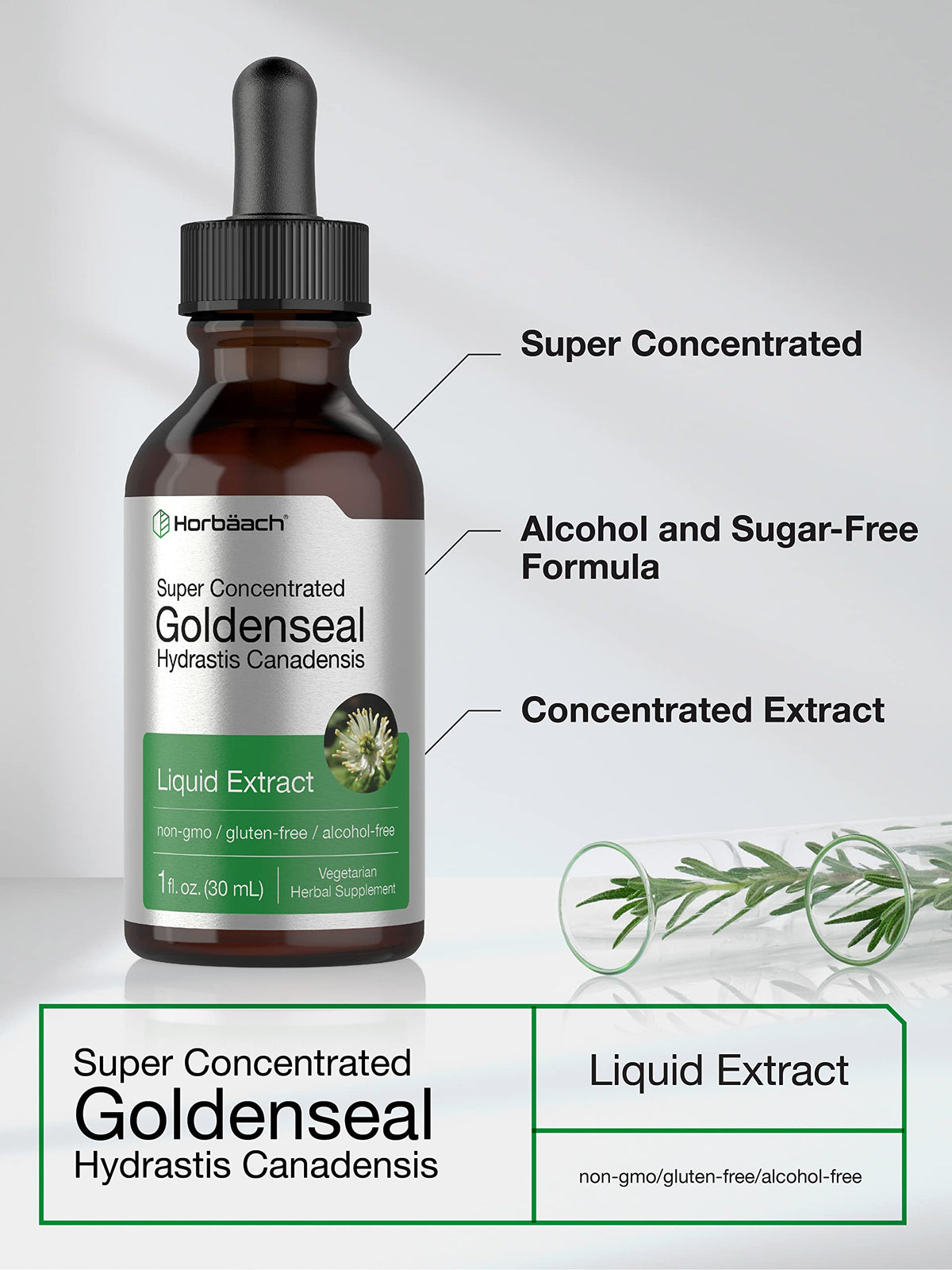 Horbäach Goldenseal Root Tincture Liquid Extract - 1 fl oz - image 3