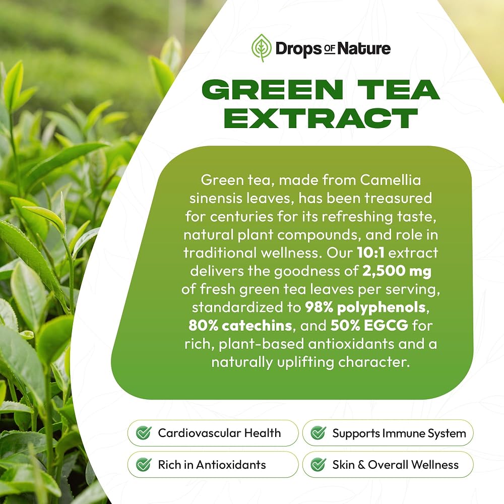 Drops of Nature Green Tea Extract 10:1 Liquid - 60 mL - image 6