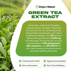 Drops of Nature Green Tea Extract 10:1 Liquid - 60 mL - image 6