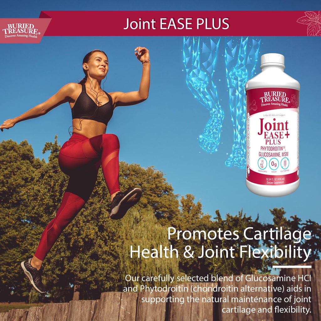 Buried Treasure Joint Ease Plus Liquid Joint Support - 16 fl oz - image 5