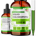 Super Natural Goods Liquid Chlorophyll Drops for Daily Wellness - 4oz