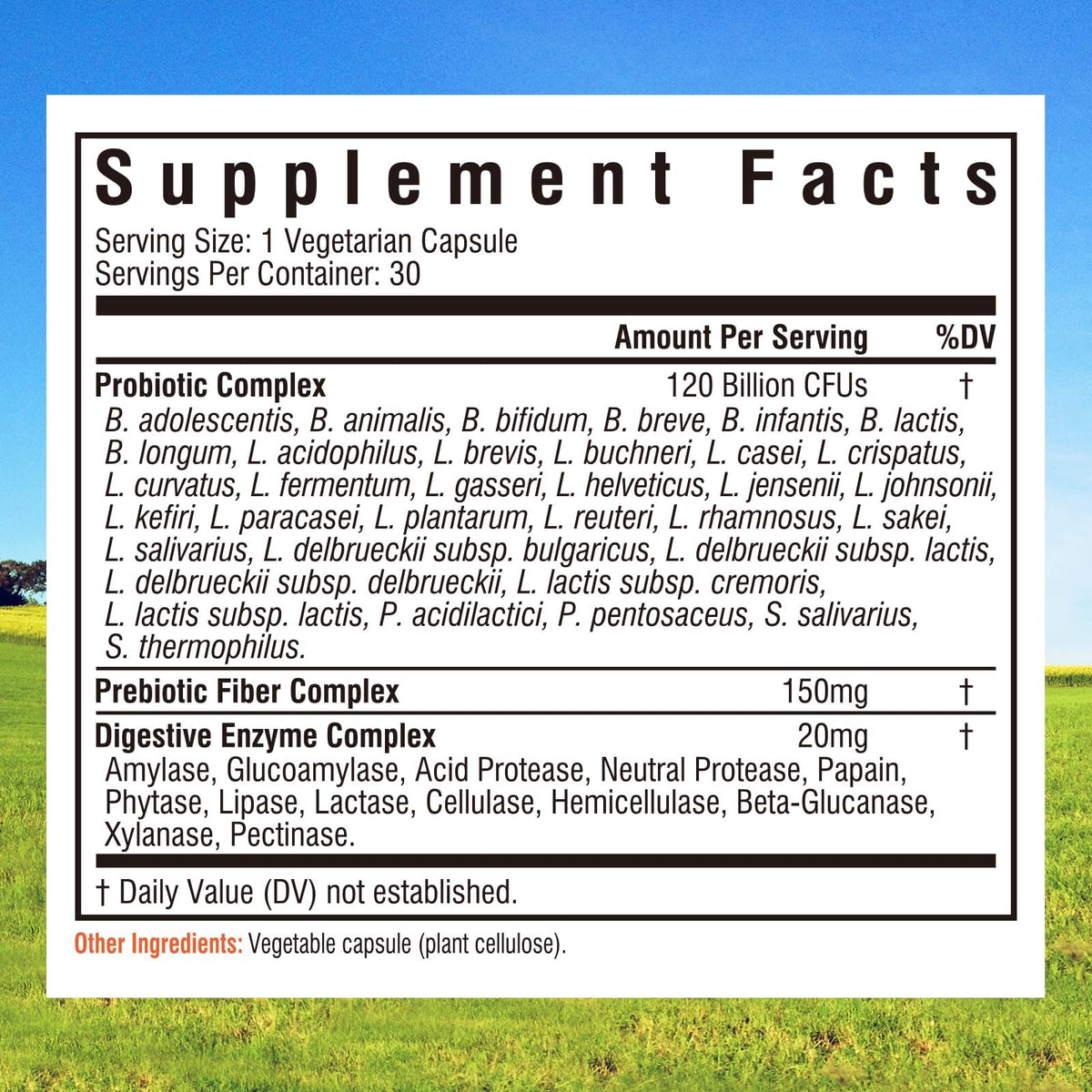 Innate Vitality Probiotics 120 Billion CFUs Digestive Health - 30 Capsules - image 2