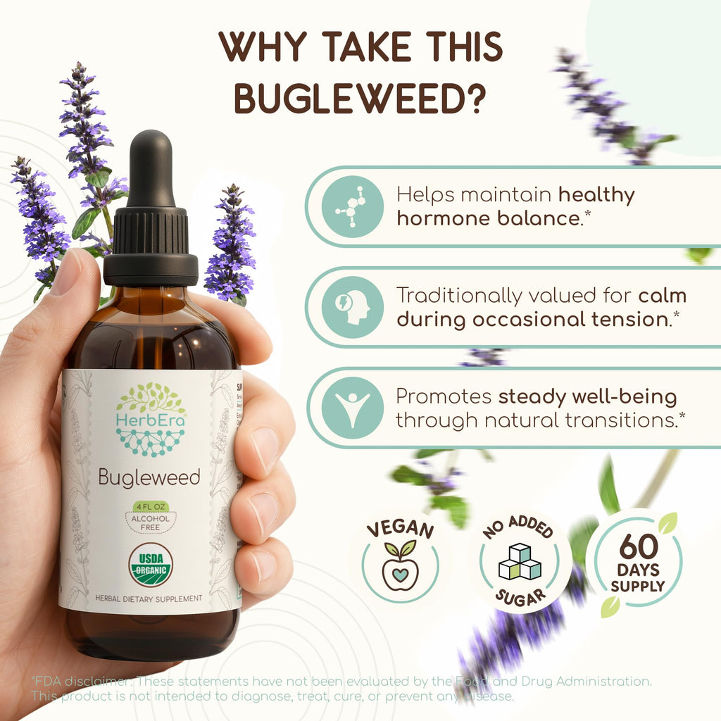 HerbEra Bugleweed Alcohol-Free Herbal Extract Tincture