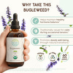 HerbEra Bugleweed Alcohol-Free Herbal Extract Tincture